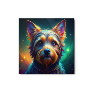 Metal Sketch - Silky Terrier (Colorful Glow) 12" x 12"