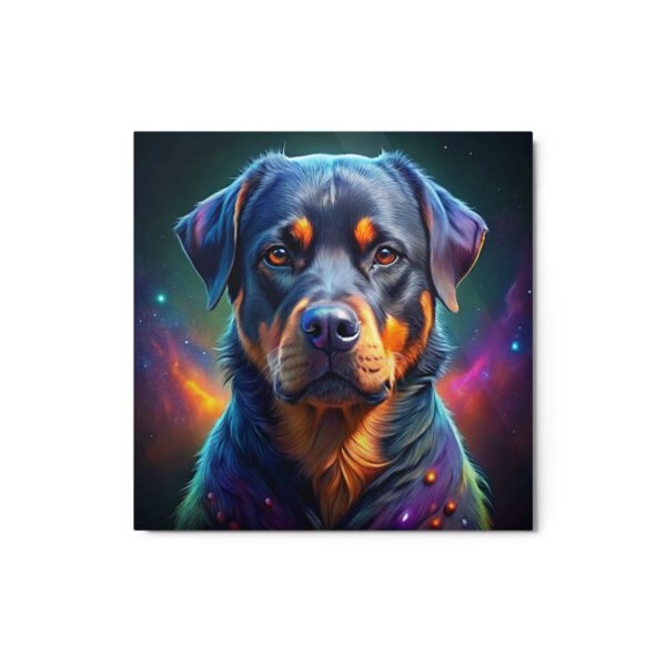 Metal Sketch - Rottweiler (Colorful Glow) 12" x 12"