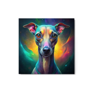 Metal Sketch - Italian Greyhound (Colorful Glow) 12" x 12"