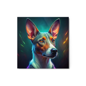 Metal Sketch - Ibizan Hound (Colorful Glow) 12" x 12"