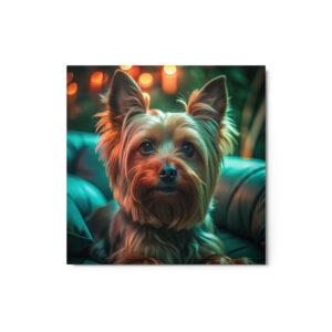 Metal Sketch - Silky Terrier (Realistic Glow) 12" x 12"