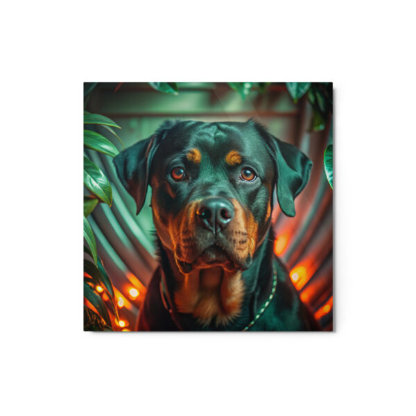 Metal Sketch - Rottweiler (Realistic Glow) 12" x 12"
