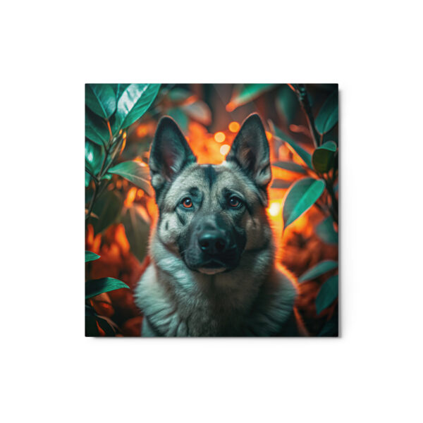 Metal Sketch - Norwegian Elkhound (Realistic Glow) 12" x 12"