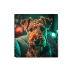Metal Sketch - Lakeland Terrier (Realistic Glow) 12" x 12"