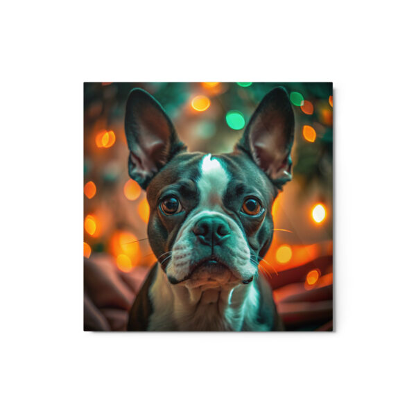 Metal Sketch - Boston Terrier (Realistic Glow) 12" x 12"