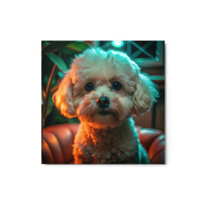 Metal Sketch - Bichon Frise (Realistic Glow) 12" x 12"